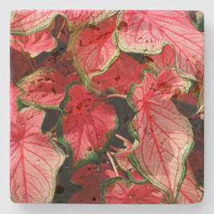 TRAVERTINE STONE COASTERS, "CALADIUM" STONE COASTER