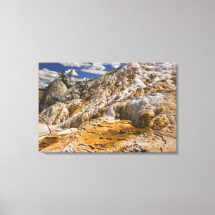Travertine terraces at Mammoth Hot Springs, Yellow Canvas Print