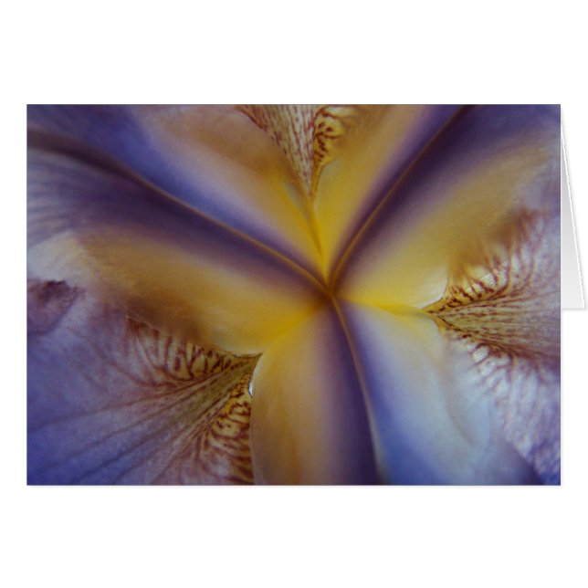 Tre (Front Horizontal)