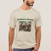 Treasure Hunter Beach Coast Sea Glass Photo