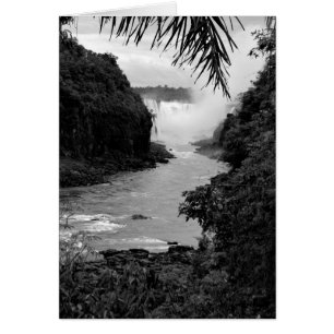 Treasure in the Jungle