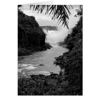 Treasure in the Jungle