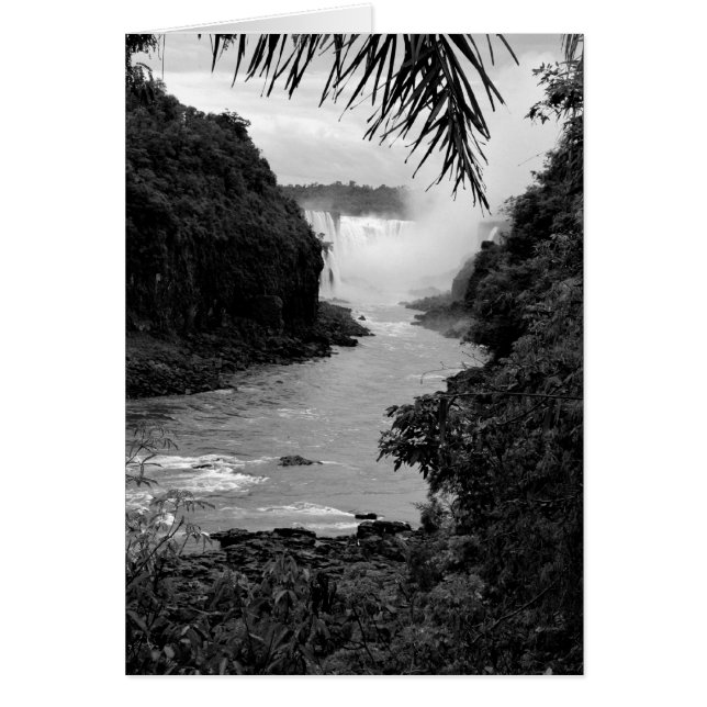 Treasure in the Jungle (Front)