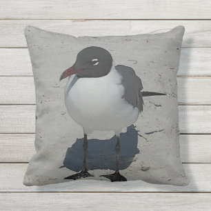 Treasure Island Florida Gull Throw Pillow