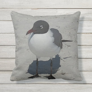 Treasure Island Florida Gull Throw Pillow
