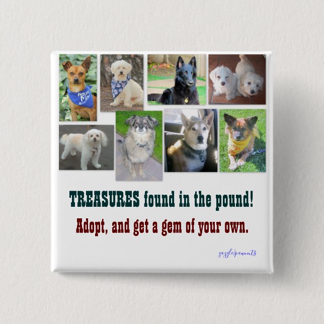 TREASURES found in the pound 2 Inch Square Button (Front)