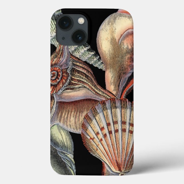 Treasures of the Sea Case-Mate iPhone Case (Back)