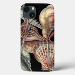 Treasures of the Sea iPhone 13 Case