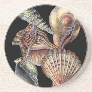 Treasures of the Sea Coaster