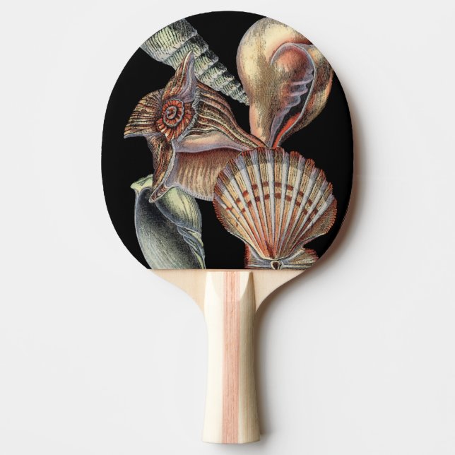 Treasures of the Sea Ping Pong Paddle (Front)