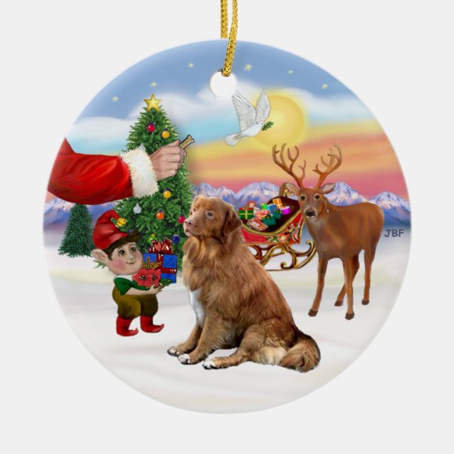 Treat for a Nova Scotia Duck Tolling Retriever Ceramic Ornament (Front)