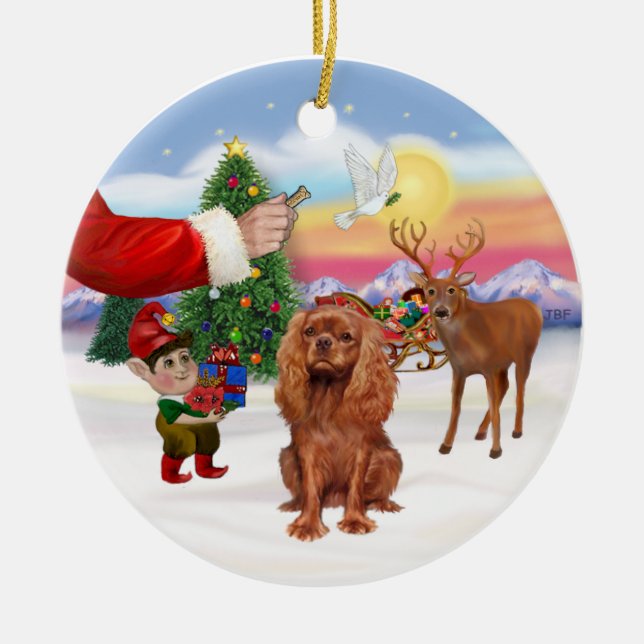 Treat for a Ruby Cavalier King Charles Span Ceramic Ornament (Front)
