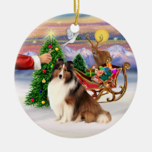 Treat for a Shetland Sheepdog (#7) Ceramic Ornament
