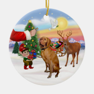 Treat for a Vizsla Ceramic Ornament