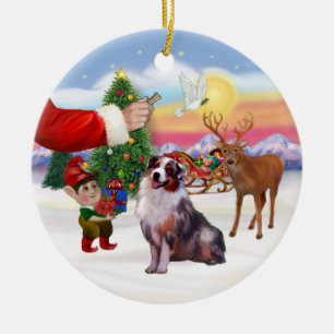 Treat for an Australian Shepherd (merle) Ceramic Ornament