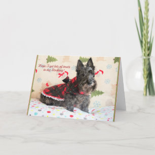Treats In My Stocking Card