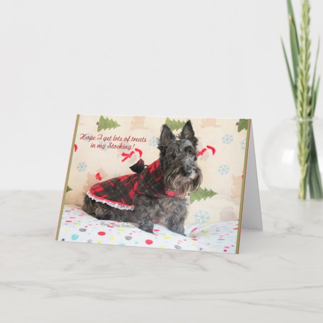 Treats In My Stocking Card (Front)