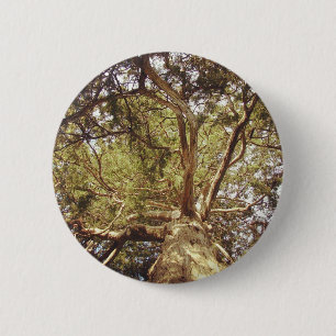 Tree 2 Inch Round Button