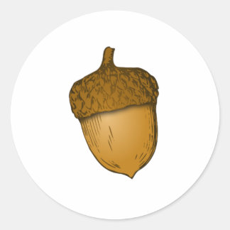 Tree Acorn Classic Round Sticker