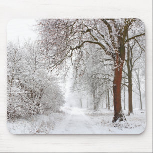 Tree Alley Stupinigi Parc, Italy Mouse Pad