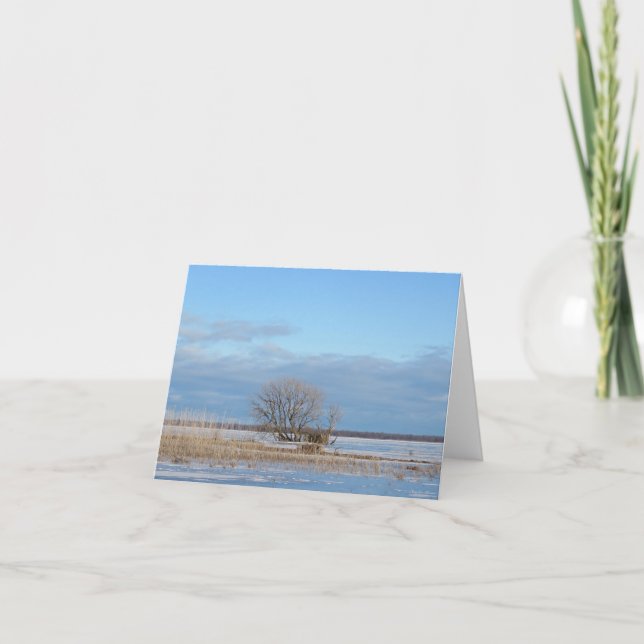 Tree and Icy Waters - Blank Greeting Card (Front)