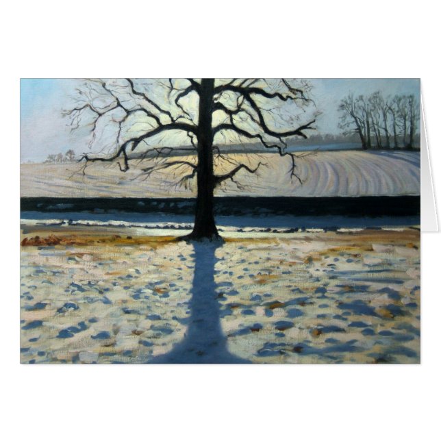 Tree and Shadow Calke Abbey Derbyshire (Front Horizontal)