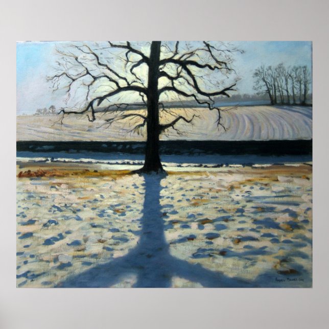 Tree and Shadow Calke Abbey Derbyshire Poster (Front)