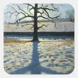 Tree and Shadow Calke Abbey Derbyshire Square Sticker