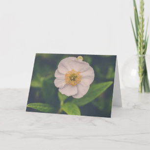 Tree Anemone Card