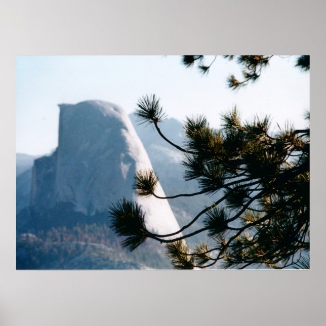 Tree at Half Dome Poster (Front)