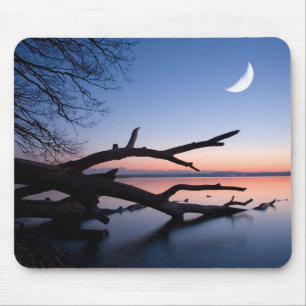 Tree at Starnberg Lake   Muensing Bavaria Germany Mouse Pad
