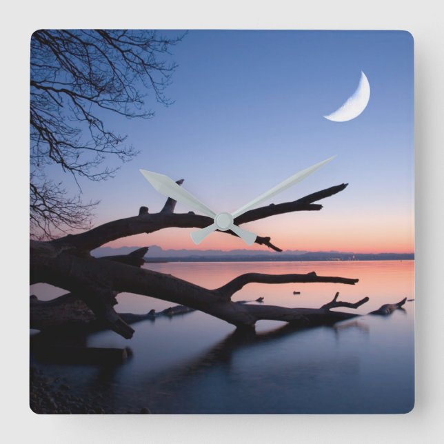 Tree at Starnberg Lake | Muensing Bavaria Germany Square Wall Clock (Front)