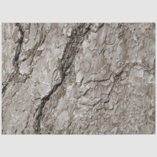 Tree Bark A Tissue Paper