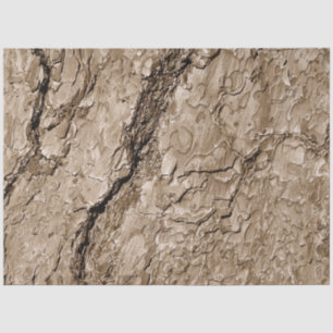 Tree Bark B Tissue Paper