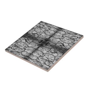 Tree Bark Black And White Photo Closeup Pattern Tile