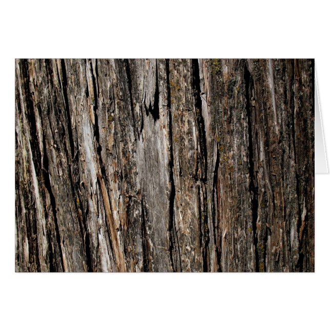 Tree Bark Blank (Front Horizontal)