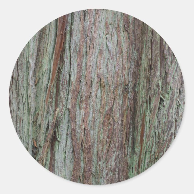 Tree Bark Classic Round Sticker (Front)