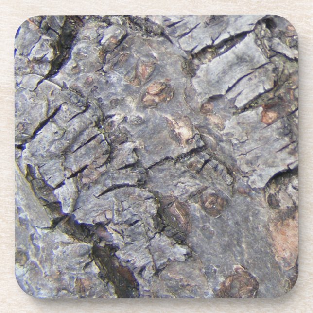 Tree Bark Coaster (Front)