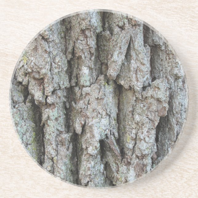 Tree Bark Coaster (Front)