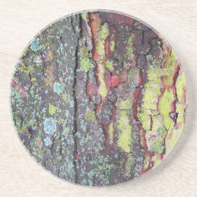Tree Bark Coaster (Front)