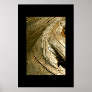 TREE BARK DETAIL POSTER
