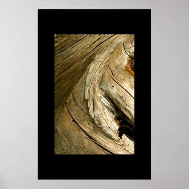 TREE BARK DETAIL POSTER (Front)