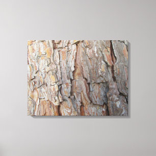 Tree Bark Fall Autumn Patterns Canvas Print