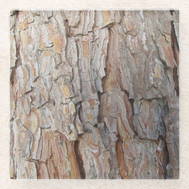 Tree Bark Fall Autumn Patterns Glass Coaster (Front)