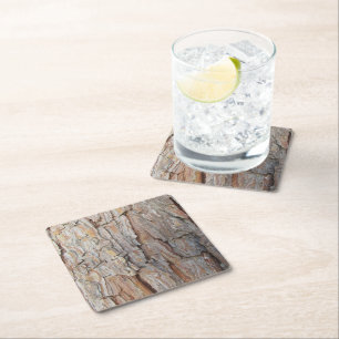Tree Bark Fall Autumn Patterns Square Paper Coaster