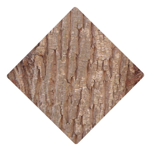 tree bark graduation cap topper (Front)