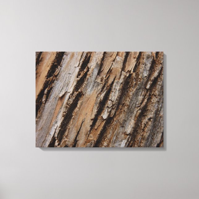 Tree Bark I Natural Abstract Textured Design Canvas Print (Front)
