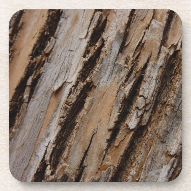 Tree Bark I Natural Abstract Textured Design Coaster (Front)
