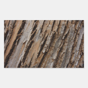 Tree Bark I Natural Abstract Textured Design Sticker