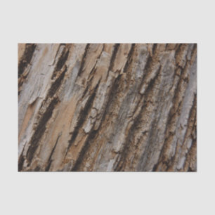 Tree Bark I Natural Abstract Textured Design Tissue Paper